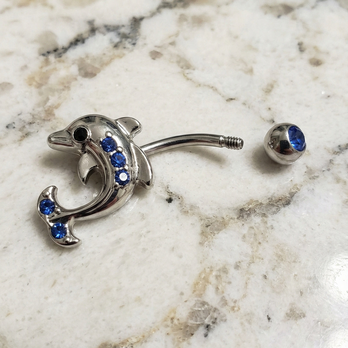 Dolphin Blue CZ Belly Ring 14G 316L Surgical Steel pictured on a countertop.